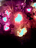 Flower Lights