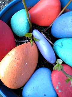 Coloured Stones