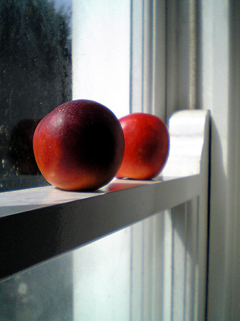 Ripening Fruit