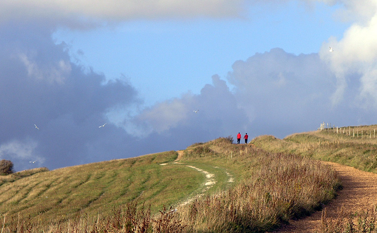 Red Walkers