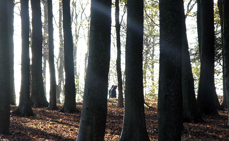 Walkers in The Mist