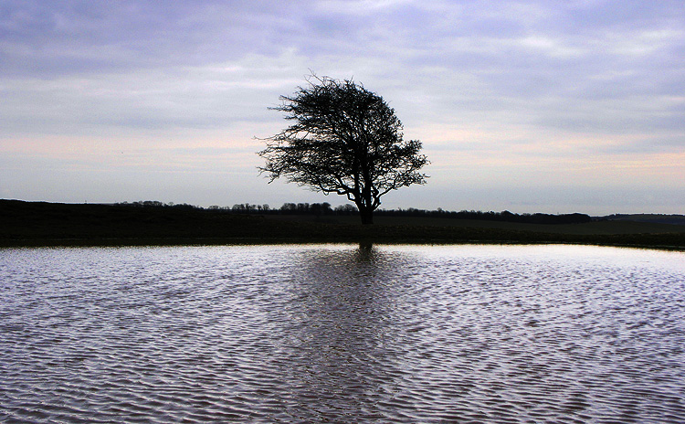 Dew Pond